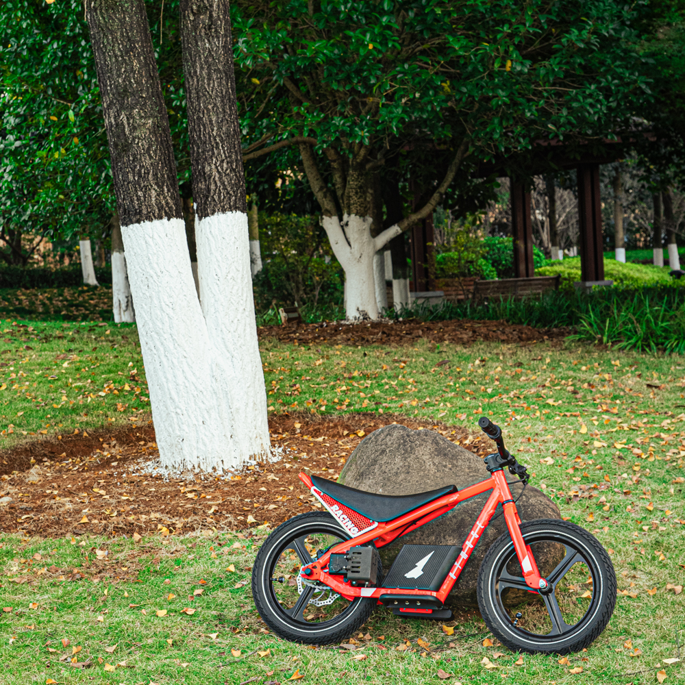 سعر المصنع بالجملة دراجة جبلية - مراجعة Mountain Biking Kids وسعره